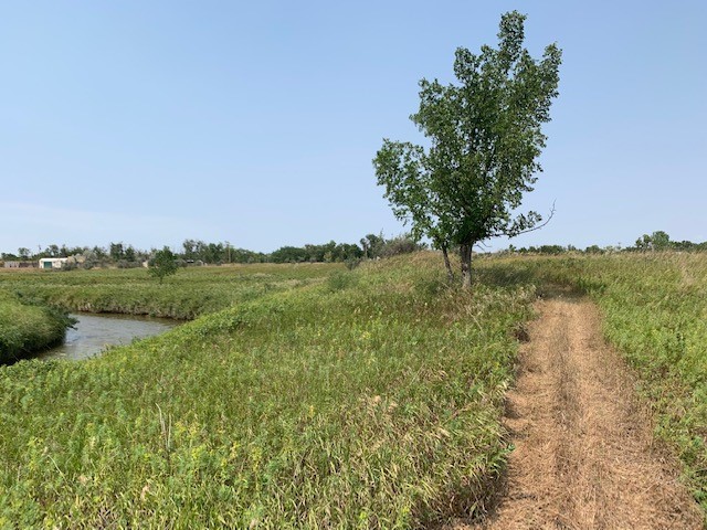 A Walking Path for Hebron 